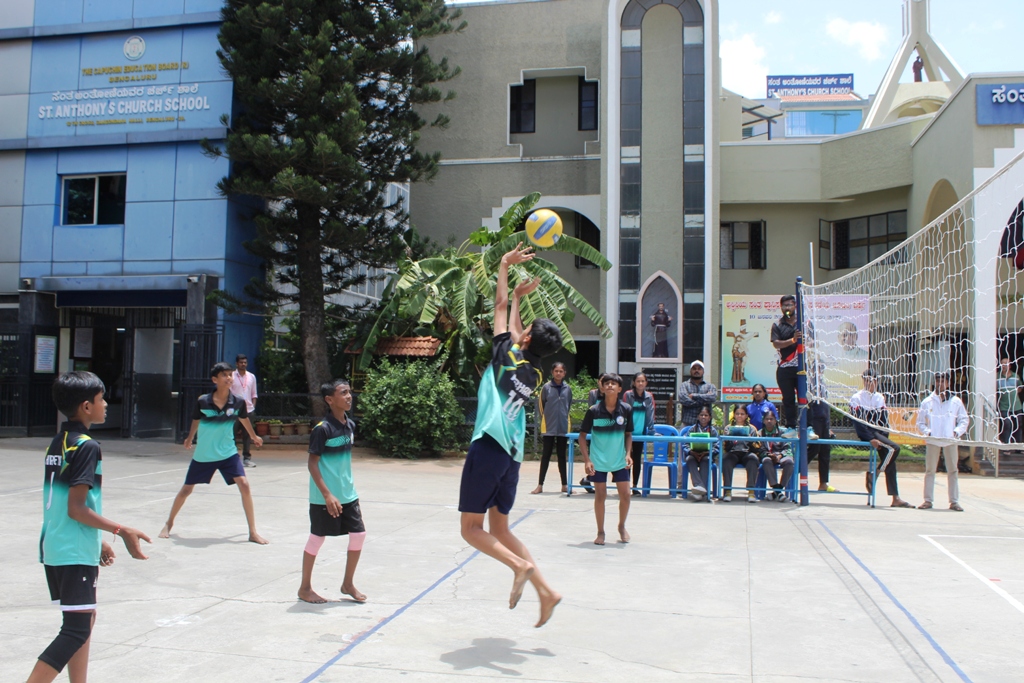 Cluster Level Sports - Image 6